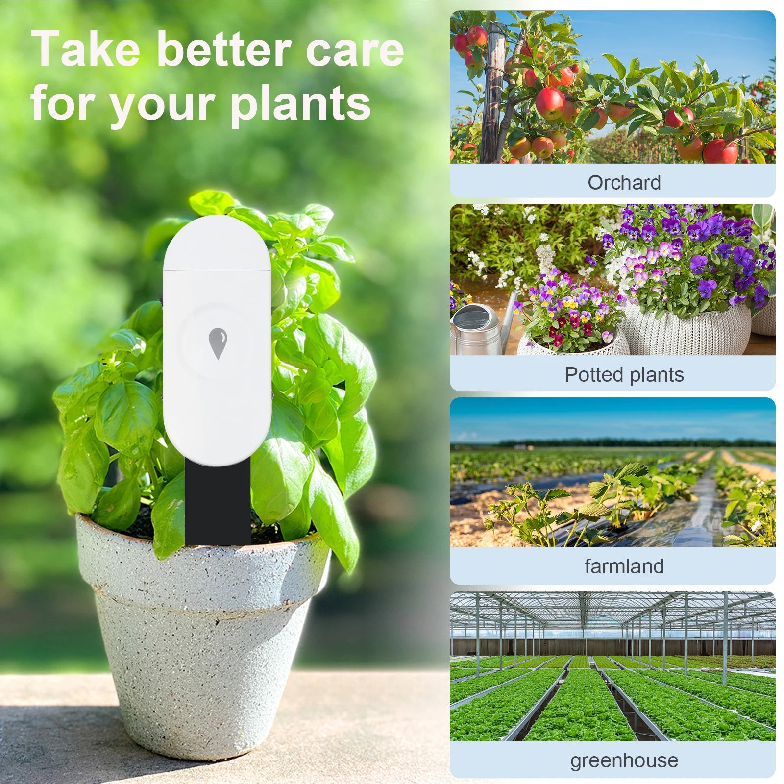 Tuya ZigBee Soil Moisture & Temperature Sensor